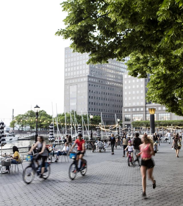 census information city composition